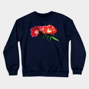 Primroses - Orange and Magenta Evening Primroses Crewneck Sweatshirt